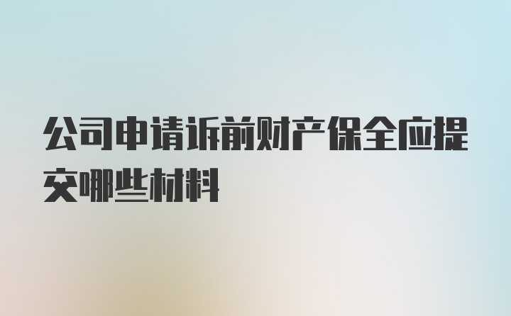 公司申请诉前财产保全应提交哪些材料