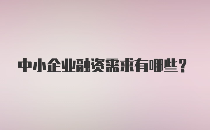 中小企业融资需求有哪些?