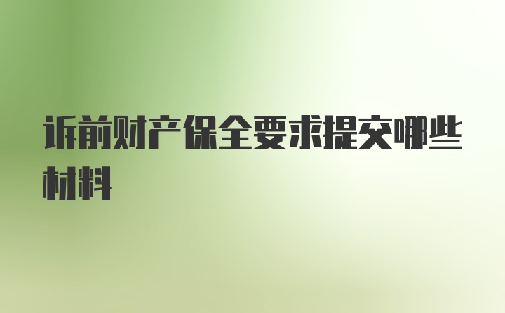 诉前财产保全要求提交哪些材料