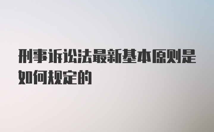 刑事诉讼法最新基本原则是如何规定的