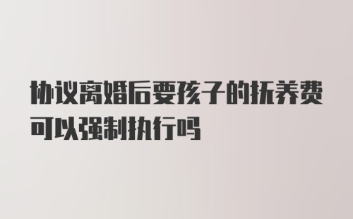 协议离婚后要孩子的抚养费可以强制执行吗