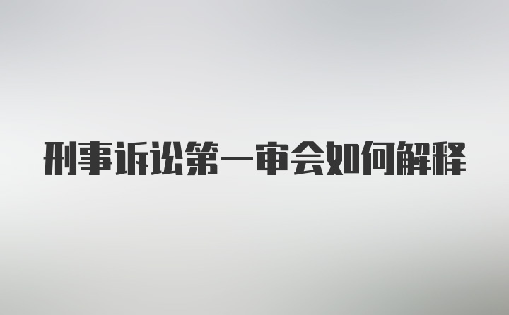 刑事诉讼第一审会如何解释