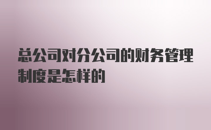 总公司对分公司的财务管理制度是怎样的