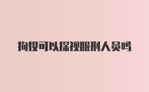 拘役可以探视服刑人员吗