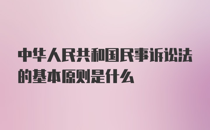 中华人民共和国民事诉讼法的基本原则是什么