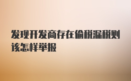 发现开发商存在偷税漏税则该怎样举报