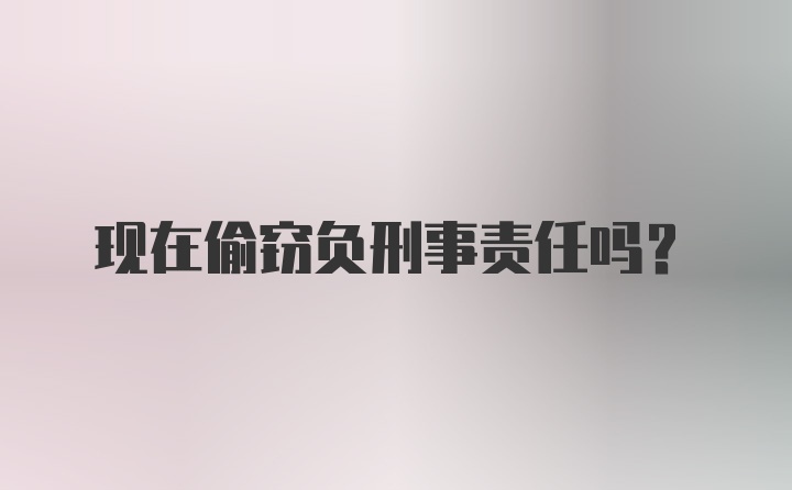 现在偷窃负刑事责任吗?