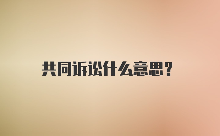 共同诉讼什么意思？