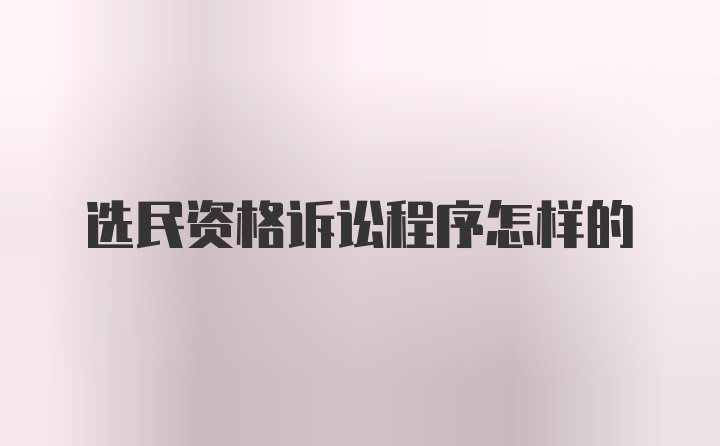 选民资格诉讼程序怎样的