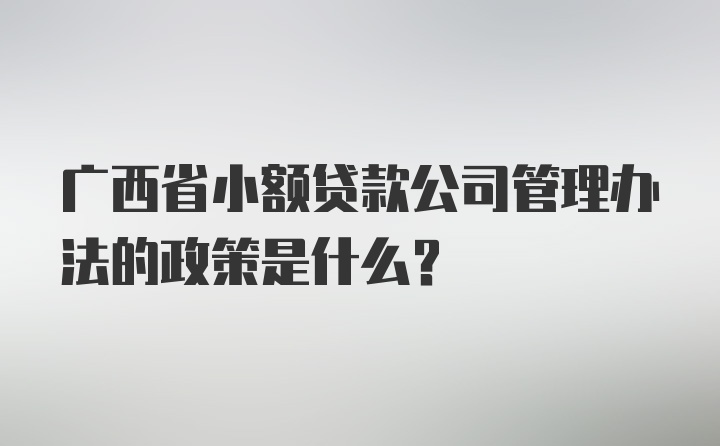 广西省小额贷款公司管理办法的政策是什么？