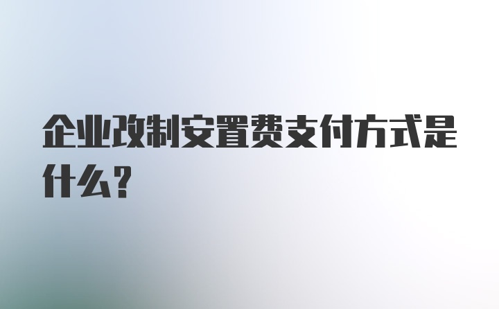 企业改制安置费支付方式是什么？