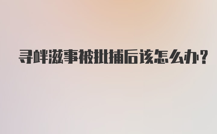 寻衅滋事被批捕后该怎么办?