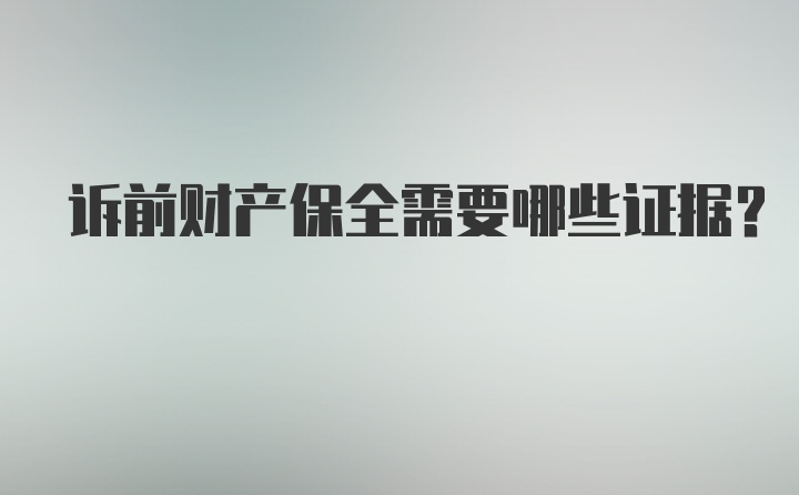 诉前财产保全需要哪些证据？