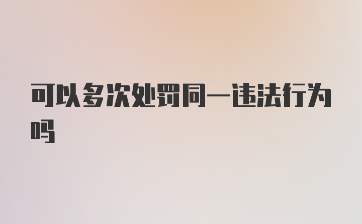 可以多次处罚同一违法行为吗