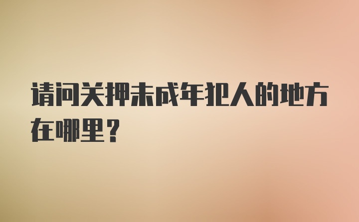 请问关押未成年犯人的地方在哪里？