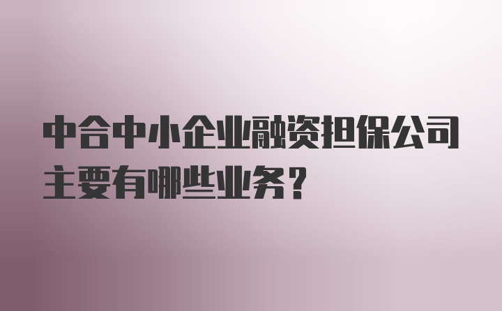 中合中小企业融资担保公司主要有哪些业务？