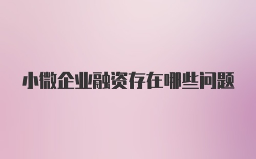 小微企业融资存在哪些问题