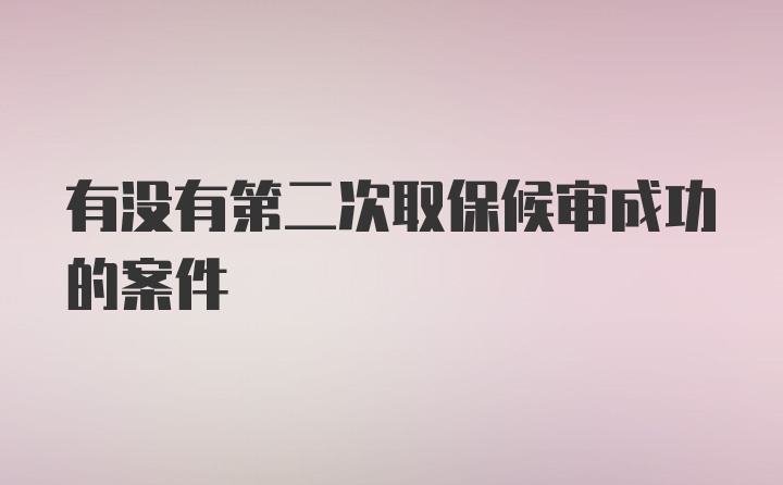 有没有第二次取保候审成功的案件