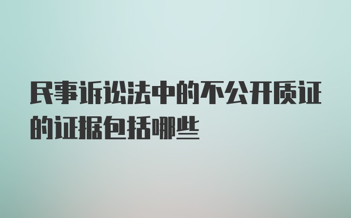 民事诉讼法中的不公开质证的证据包括哪些