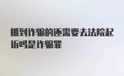 抓到诈骗的还需要去法院起诉吗是诈骗罪