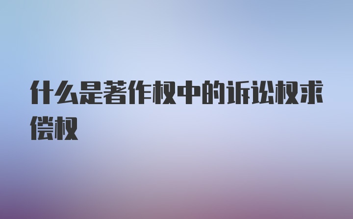 什么是著作权中的诉讼权求偿权