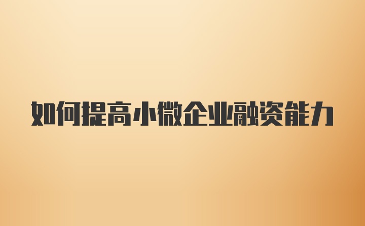 如何提高小微企业融资能力