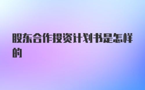 股东合作投资计划书是怎样的