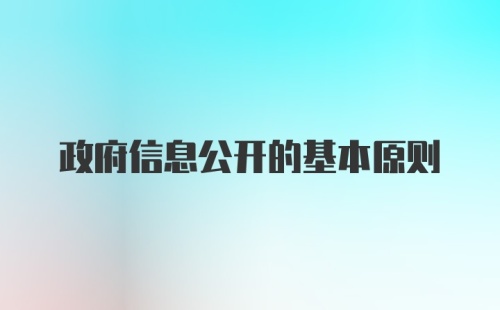 政府信息公开的基本原则