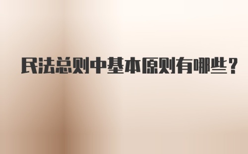 民法总则中基本原则有哪些？