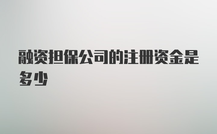 融资担保公司的注册资金是多少