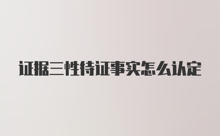 证据三性待证事实怎么认定