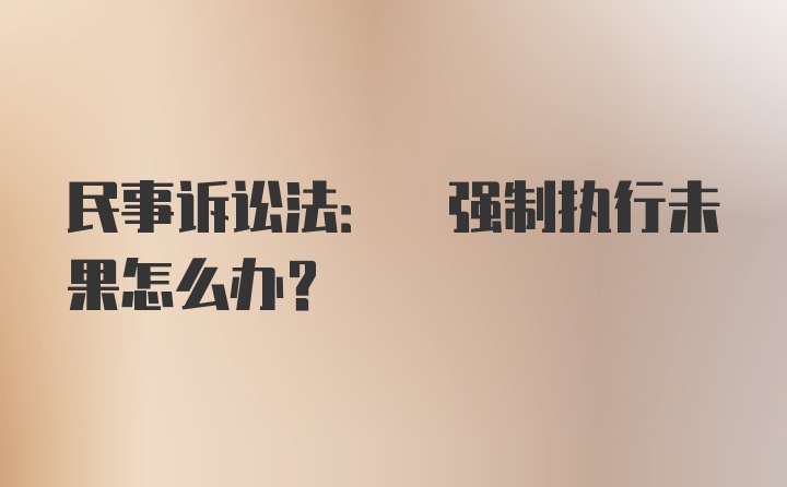 民事诉讼法: 强制执行未果怎么办?