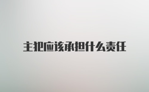 主犯应该承担什么责任