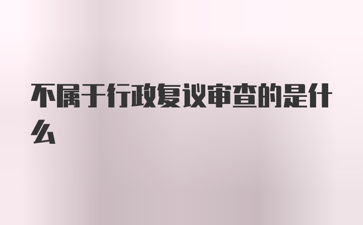 不属于行政复议审查的是什么