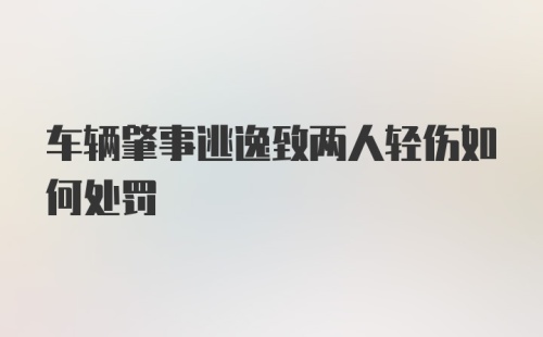 车辆肇事逃逸致两人轻伤如何处罚