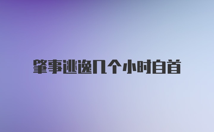 肇事逃逸几个小时自首