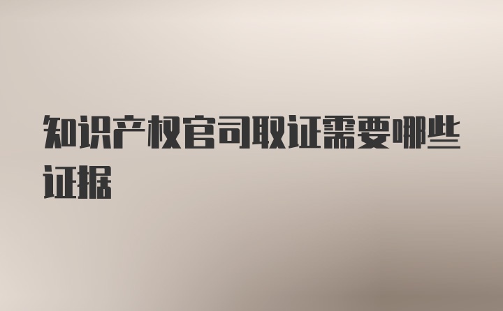 知识产权官司取证需要哪些证据