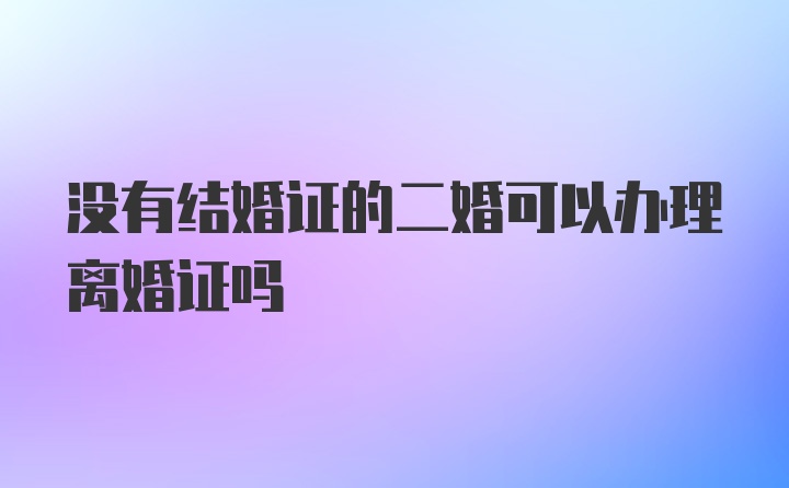 没有结婚证的二婚可以办理离婚证吗