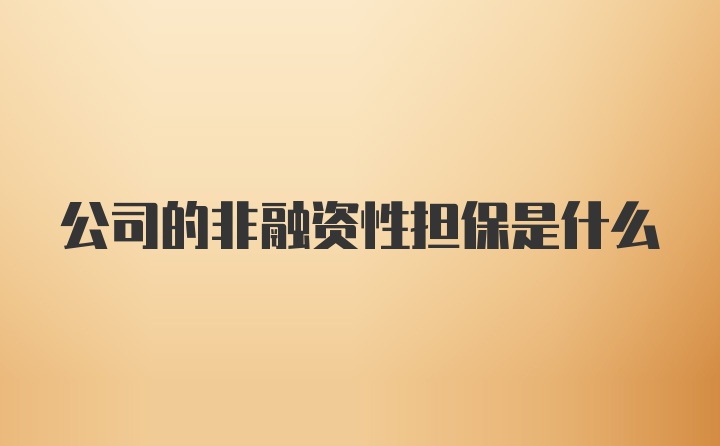 公司的非融资性担保是什么