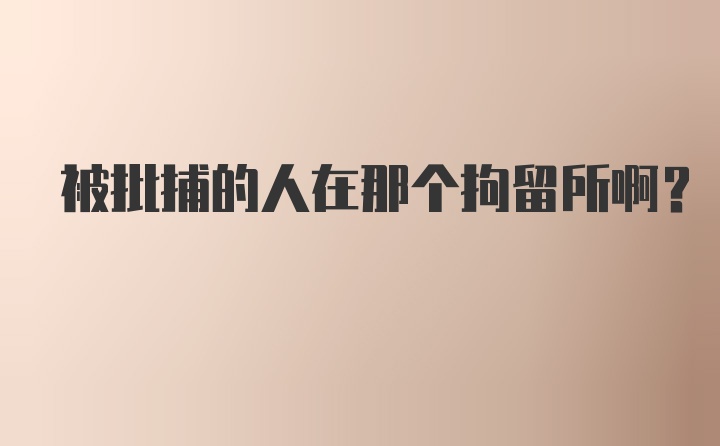 被批捕的人在那个拘留所啊？