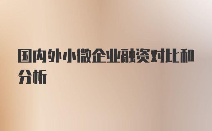 国内外小微企业融资对比和分析