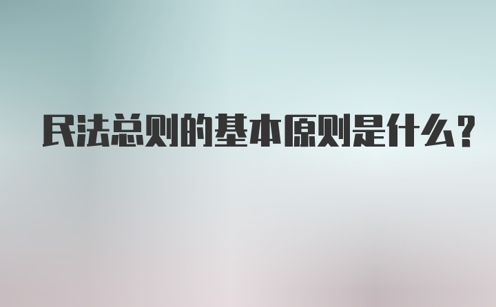 民法总则的基本原则是什么？