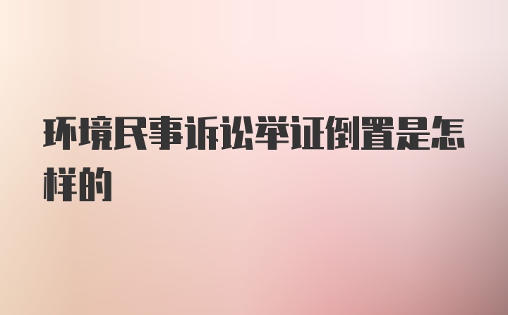 环境民事诉讼举证倒置是怎样的