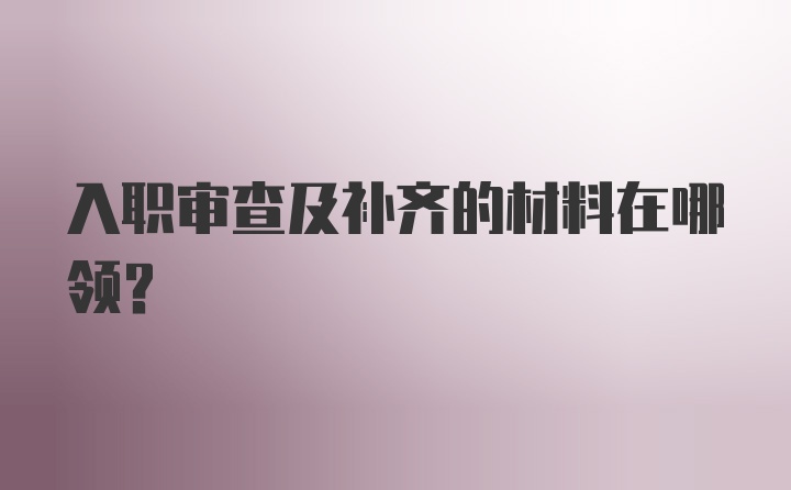 入职审查及补齐的材料在哪领？