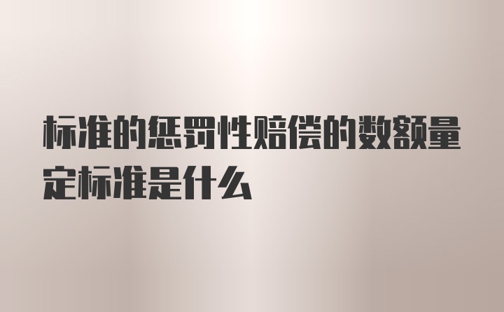 标准的惩罚性赔偿的数额量定标准是什么