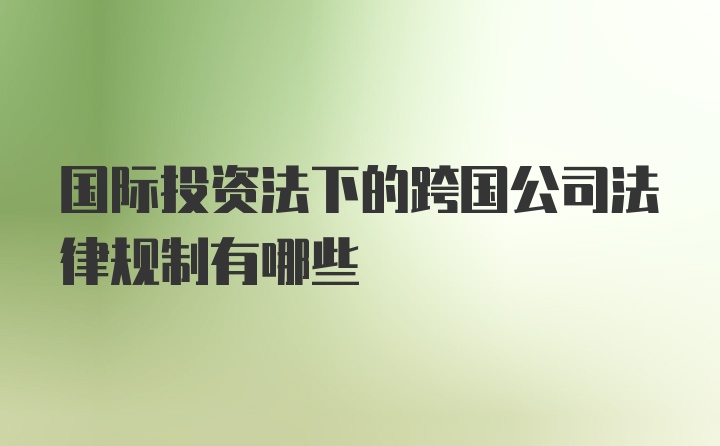 国际投资法下的跨国公司法律规制有哪些