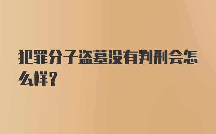 犯罪分子盗墓没有判刑会怎么样？