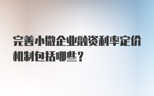 完善小微企业融资利率定价机制包括哪些？