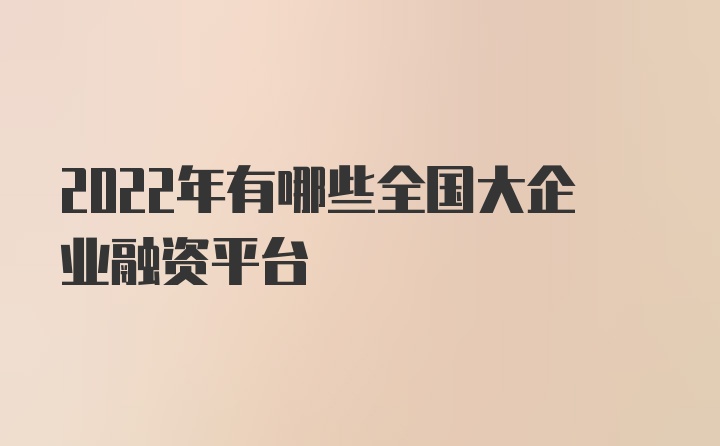 2022年有哪些全国大企业融资平台