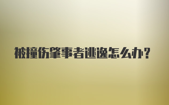 被撞伤肇事者逃逸怎么办？